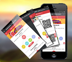 麥多微信微官網開發案例